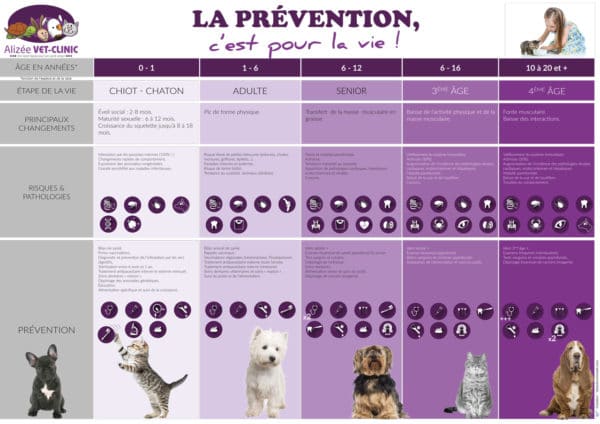 Affiches-veterinaire-Alizee-prévention-HD