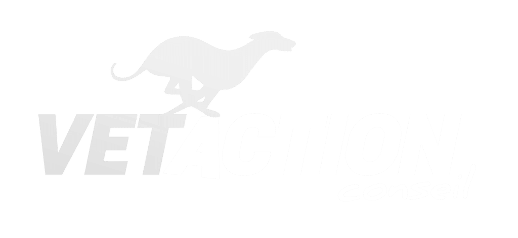 Logo Vetaction Conseil. Audit, conseil, communication dédiés aux vétérinaies