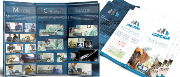 Brochure-clinique-veterinaire-3-volets-ROBION-HD