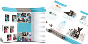 Brochure-clinique-veterinaire-communication