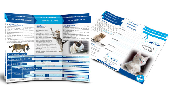 Leaflet-veterinaire-chaton