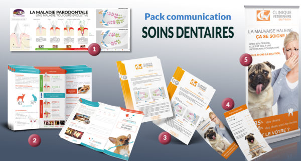 Pack-soins-dentaires-pour-veterinaires