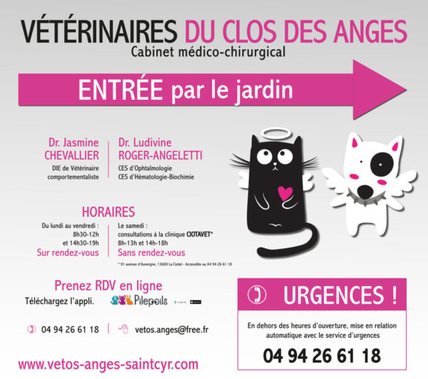 Plaque-professionnelle-pour-veterinaire-clos-des-anges-2019