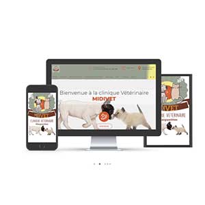 site internet veterinaire vetaction midivet