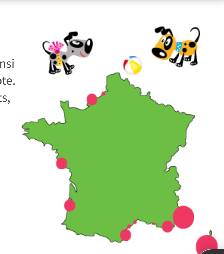 Plages autorisées aux chiens en France