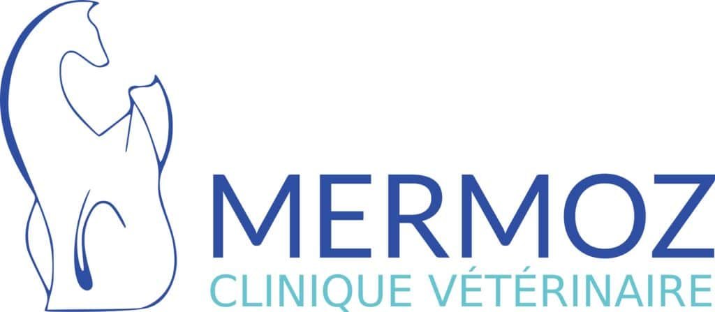 Ancien logo MERMOZ