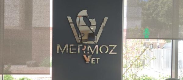 Logo Mermoz miroir