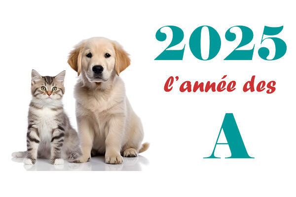 2025, l'année des A