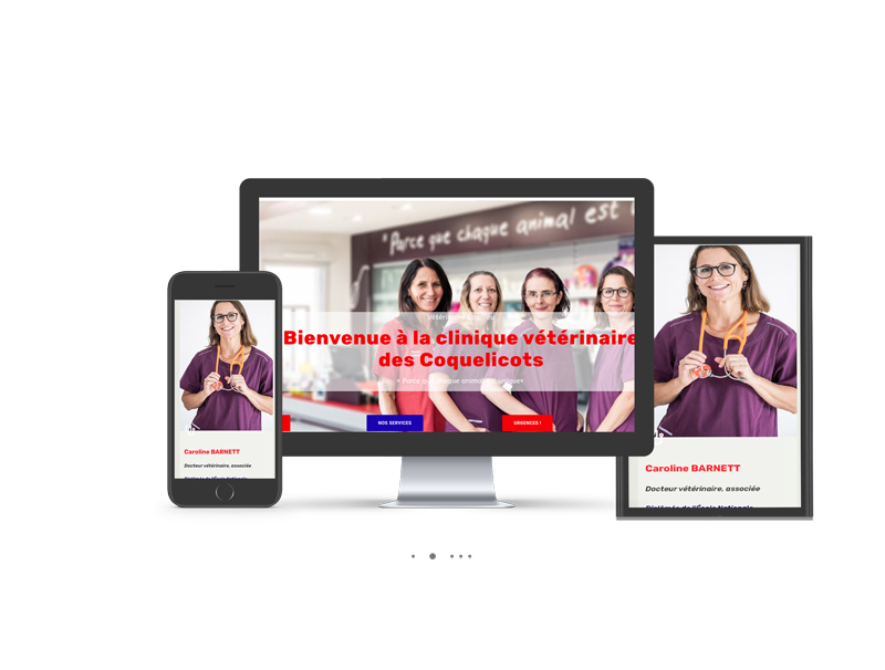 showcase-image