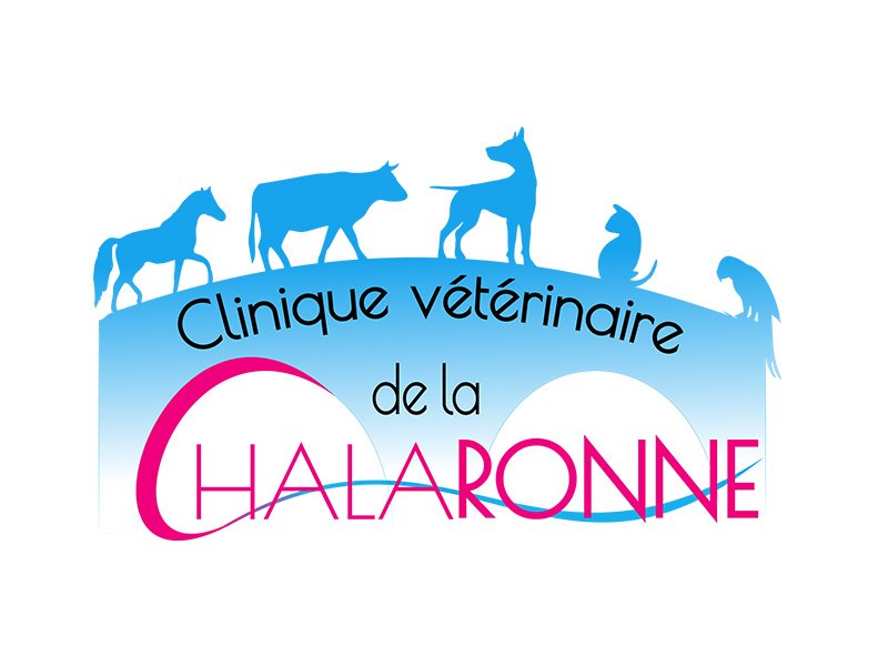 Logo clinique veterinaire de la Chalaronne