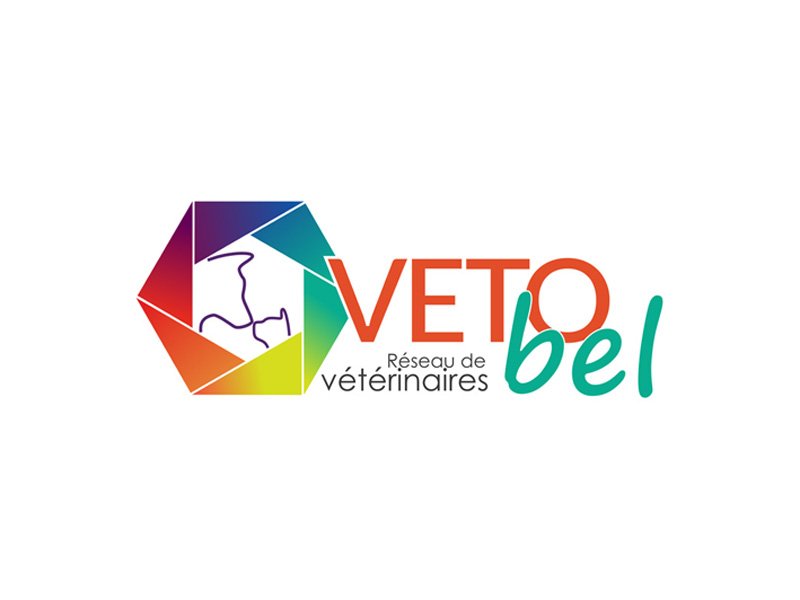 Logo Vetobel (Réseau de vétérinaires des Bouches du Rhône)