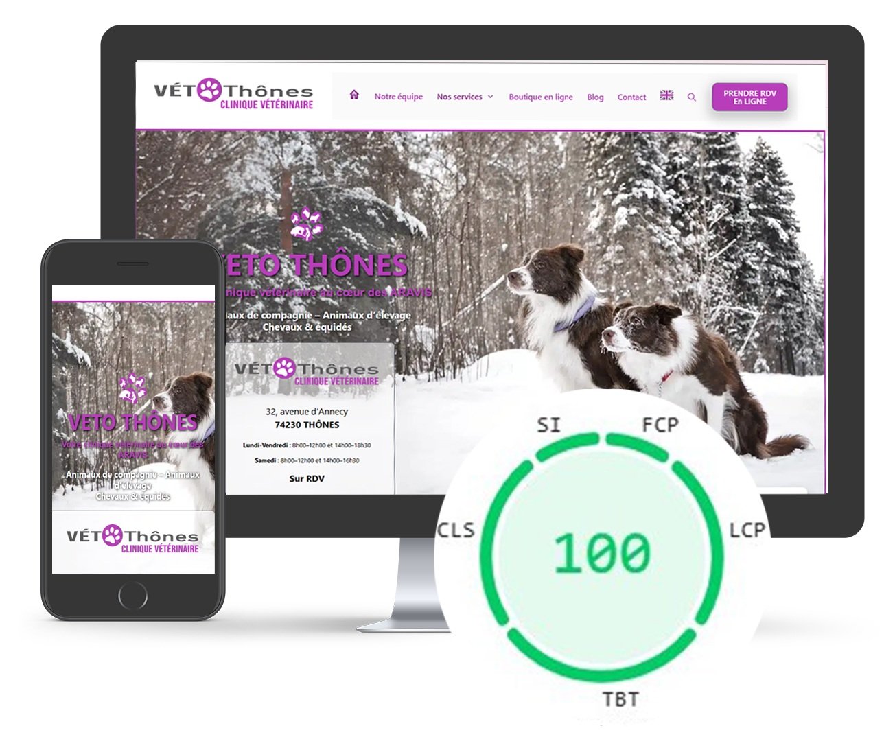 Site web vétérinaire Vetothônes