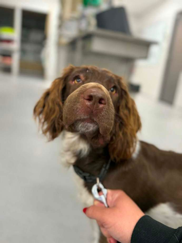 Gonflement caractéristique 