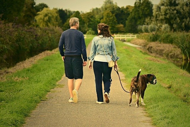 Couple promenant un Boxer – garde de chien pendant les vacances