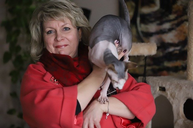 Femme tenant un chat Sphynx – pet-sitter et garde d'animaux