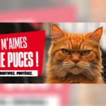 Semaine Nationale de l'Identification 2026 - Tu m'aimes tu me pu