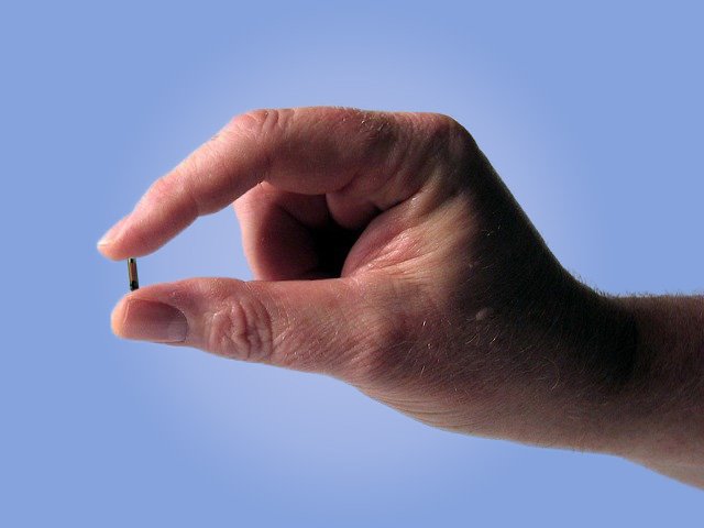 Taille réelle d'un transpondeur (puce électronique) pour animal