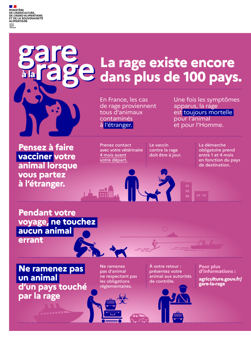 Infographie rage